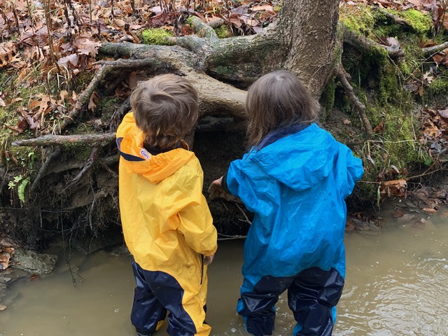 children looking at tree roots